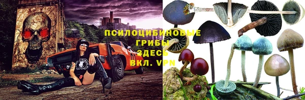 ECSTASY Алзамай