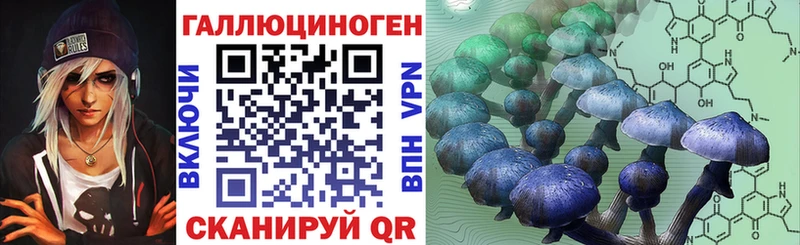 как найти   Палласовка  Галлюциногенные грибы мухоморы 